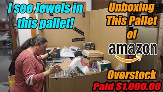 Unboxing a pallet of Amazon overstock and we found Jewels Pet items Gnomes and more [upl. by Natka]