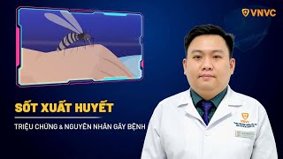 Triệu chứng sốt xuất huyết và nguyên nhân gây bệnh phổ biến  BS Nguyễn Minh Luân  VNVC [upl. by Aremus]