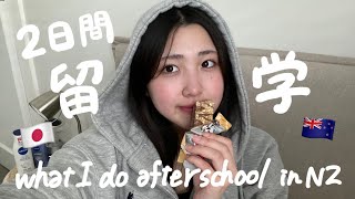 【vlog】NZ留学生のとある放課後の過ごし方を撮ってみたスーパーご飯勉強🥬🫐 [upl. by Maisey914]