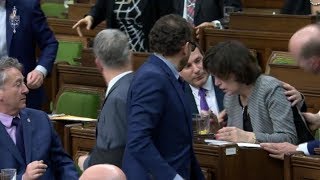 Liberal MP collapses during House of Commons debate [upl. by Nalaf]