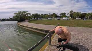 Mawson Lakes Magnet Fishing 12 October 2024 [upl. by Acired]