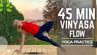 45 MINUTE VINYASA FLOW  At Home Yoga Practice [upl. by Flossi]