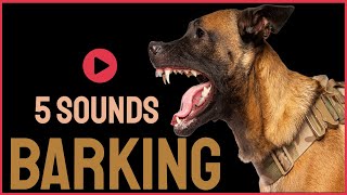 5 Dog Barking Sounds To Make Your Dogs Bark [upl. by Yrellam379]