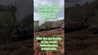 Lambton Colliery Tank No29 ‘Peggy’ barking past Darnholmes with the demonstration freight train [upl. by Abate627]