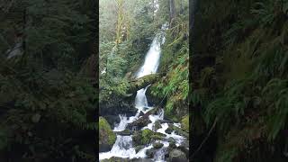 Quinault waterfall October 30 2021 [upl. by Libbey]