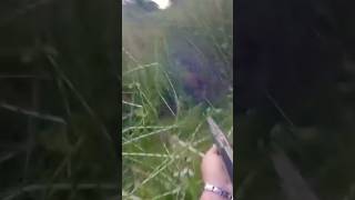 Boar attack nature new 2025 wildboar hunting benelli attack charge [upl. by Muns]