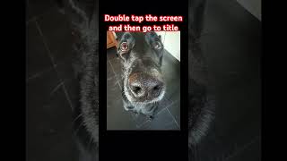 Double tap the screen and then go to title [upl. by Mag]