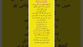 urdu pashto words meaning [upl. by Abehshtab]