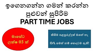 Best PartTime Jobs for School Leavers in Sri Lanka  Job Vacancies amp Application Tips [upl. by Wesley]