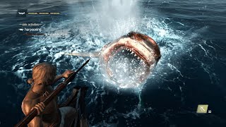 AC IV Black Flag  Harpooning Every Type Of Sharks amp Whales  PC 1080p60 [upl. by Ianthe877]