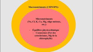 L1SA  Cours de Microbiologie Générale  Partie 2  Bactériologie suite 2 [upl. by Kosse515]