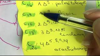 Biochimie  les lipides الدسم بطريقة مبسطة 🤩✨ [upl. by Idnarb]