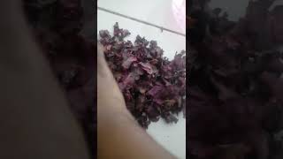 Beetroot Powder Do it yourself and stop wasting your money [upl. by Comyns115]