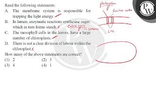 Read the following statements A The membrane system is responsible for trapping the light ener [upl. by Esteban956]