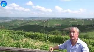 Aldo Vacca of Produttori del Barbaresco Cru Vineyards Walk Through Part 1 [upl. by Nepean]