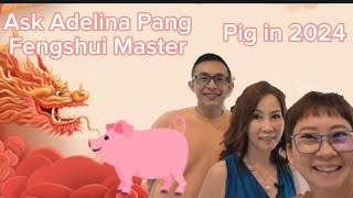 Pig in 2024 Ask Adelina Pang Get a Free fengshui Predictions and Forecast [upl. by Asilim]