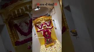 Jasalpur maa meldivay ni maa MELDI jay mataji [upl. by Haymo]