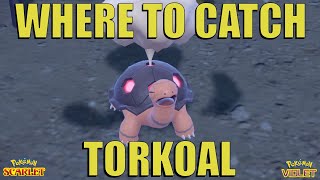 Where to Catch Torkoal in Pokemon Scarlet and Violet [upl. by Baugh]