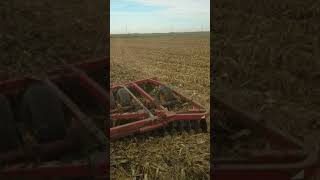 IH 1486 and 24 Kewanee disk cutting corn stalks [upl. by Amorete]