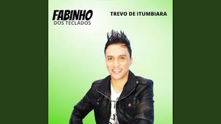 Trevo de Itumbiara [upl. by Thisbee578]