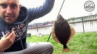 Monster Flatfish Caught using Peeler Crab Bait [upl. by Juline]