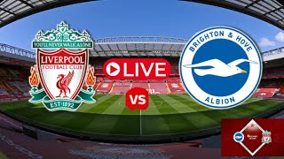 BRIGHTON VS LIVERPOOL LIVE MATCH EFL CUP ROUND 4 2425 FULL MATCH [upl. by Imis]