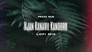 Njan Kanavil Kandoru Lofi Mix Malayalam  Slowed Version  Prazz MU6 [upl. by Koo986]