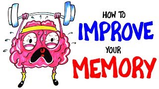 How To Improve Your Memory RIGHT NOW [upl. by Deehahs34]