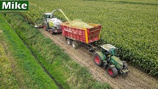 2019  Mais hakselen met XL Transport 6 Fendt  Claas Jaguar 860  Vragender  Bergmann [upl. by Wehner894]