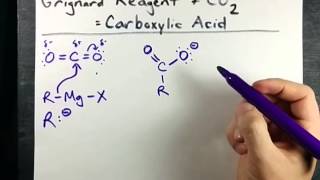 Grignard Reagent  CO2  Carboxylic Acid Mechanism [upl. by Anicnarf]