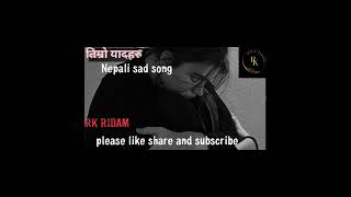 Timro yadharu nepali sad song RK RIDAM nepalisong music newsong [upl. by Bennir]