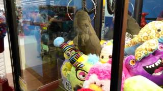 Winning 12 Prizes from Claw Machines [upl. by Eivi599]