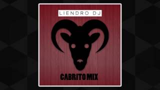 DJ Liendro  Gatuno Mix [upl. by Aryahay61]