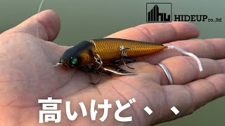 【バス釣り】ノタノタスリムs【ハイドアップ】インプレ！！話題のシリーズ最新作の集魚力がヤバい、、おすすめの使い方、タックル、セッティングを実釣解説。【2024年最新ルアー】【大人気ルアー】 [upl. by Elatia]