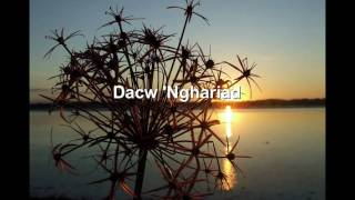 Eve Goodman  Dacw Nghariad Welsh folk song [upl. by Matty800]