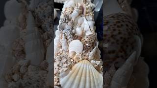 🐚 A quick visit to Shellman 🐚 shellartist art seashells artprocess [upl. by Ignatius]