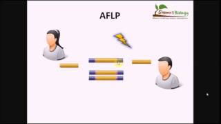 أساسيات الهندسة الوراثية تكنيك الـ AFLP [upl. by Atinra56]