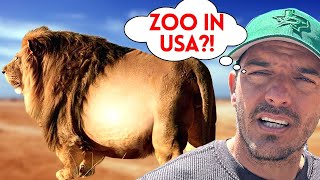 Cuban Reacts to the Zoo in America  Emotional [upl. by Thilda]