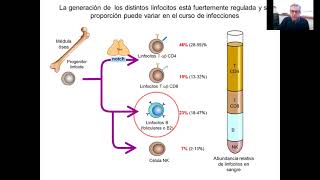 Inmunología I  9 clase Desarrollo de linfocitos B y T y tolerancia [upl. by Elak]