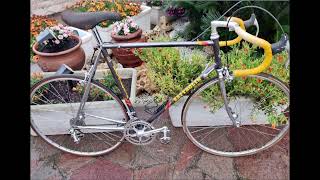 Rare Battaglin Cromovelato SLX bicycle SUBSCRIBE CHANNEL cromovelato campagnolo singlespeed [upl. by Aland323]