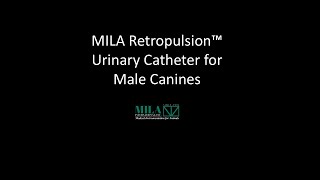 MILA Retropulsion™ Urinary Catheter for Male Canines [upl. by Aryn]