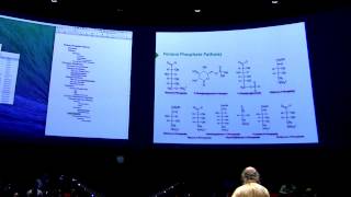 Pentose PhosphateGlycogen I  Kevin Aherns BB 450 Lecture 26 2016 [upl. by Madda]