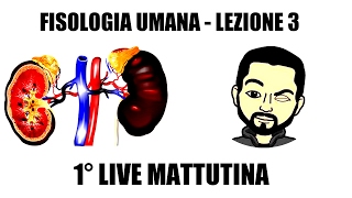 Fisiologia Umana  Lezione 3  1° Live Mattutina [upl. by Ranie]