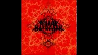 Anaal Nathrakh  quotEschatonquot  Full Album [upl. by Cerellia813]