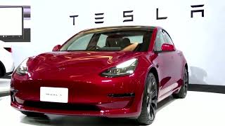 Tesla TSMC get global earnings season off to grim start [upl. by Yrrad]