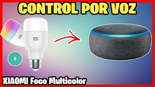 Todo sobre el foco Xiaomi Multicolor y conectar con Echo Dot  MI Smart LED Bulb Essential [upl. by Zampardi976]