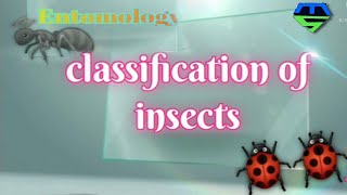 Classification of insects What is class and order entomology ICAR [upl. by Uzzi628]