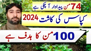 Best Cotton Production Technology in Pakistan7080 MondsHafiz Nadeem ProTips [upl. by Rosamond832]