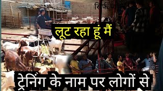 जागरूकता नहीं धंधा बन चुका है बकरी पालन ट्रेनिंग  Goat farming  Goat farming in hindi farming [upl. by Ylrak818]