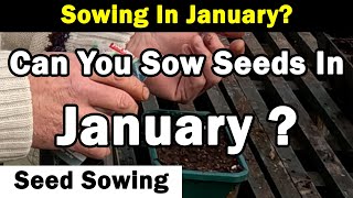 Sowing In January  Enough Heat and Light  Plant Hardiness  Green Side Up [upl. by Fernando]